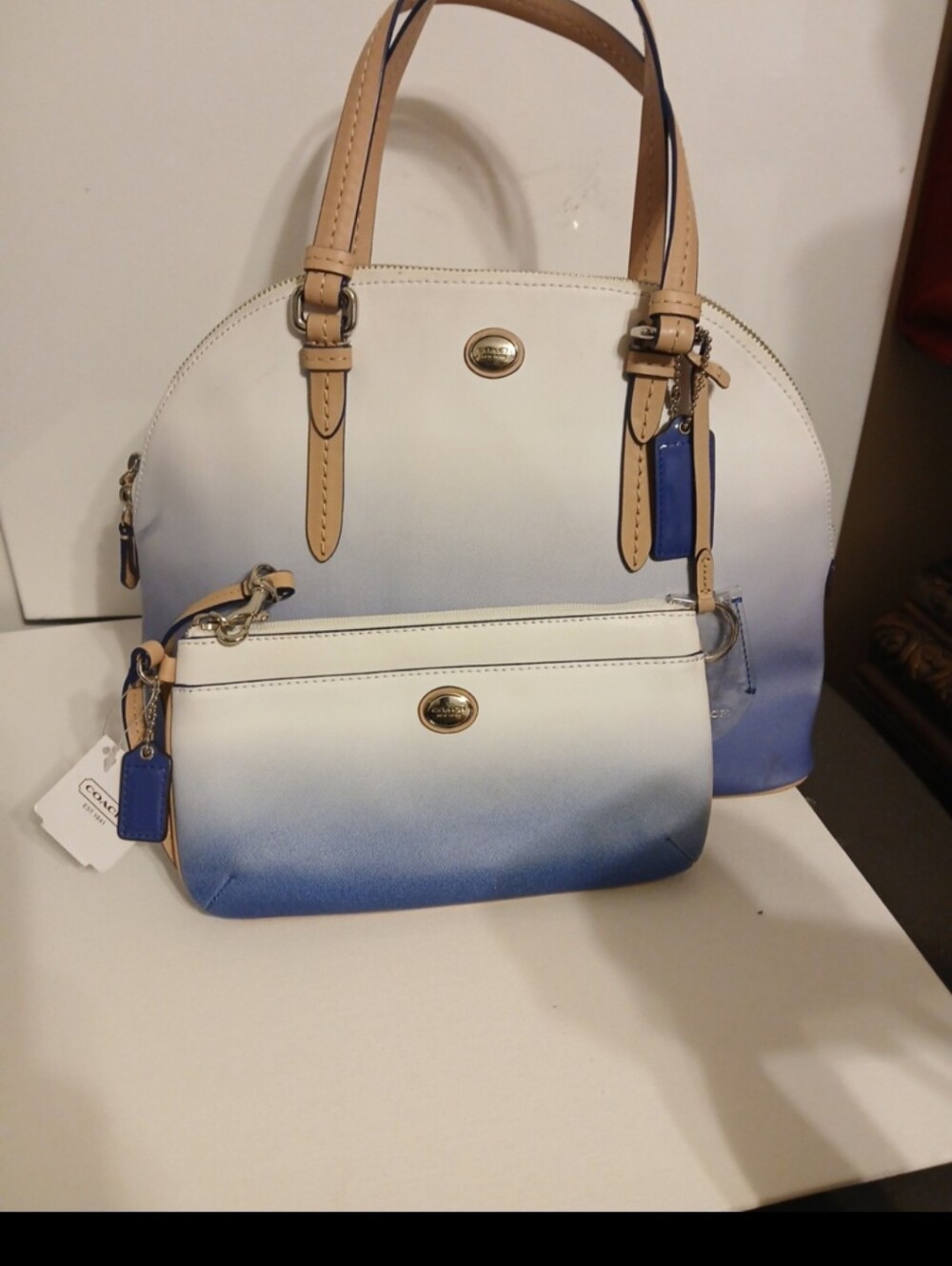 COACH White and Blue Ombre Dome Satchel with Wristlet